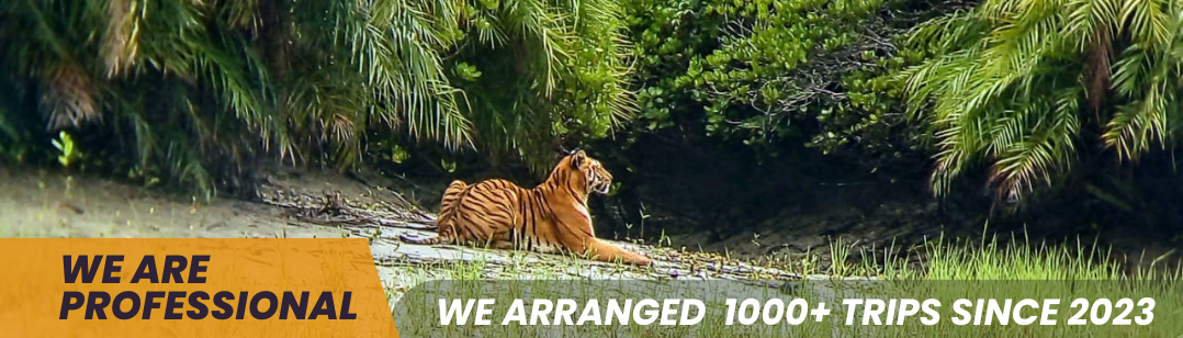 sundarban travels banner